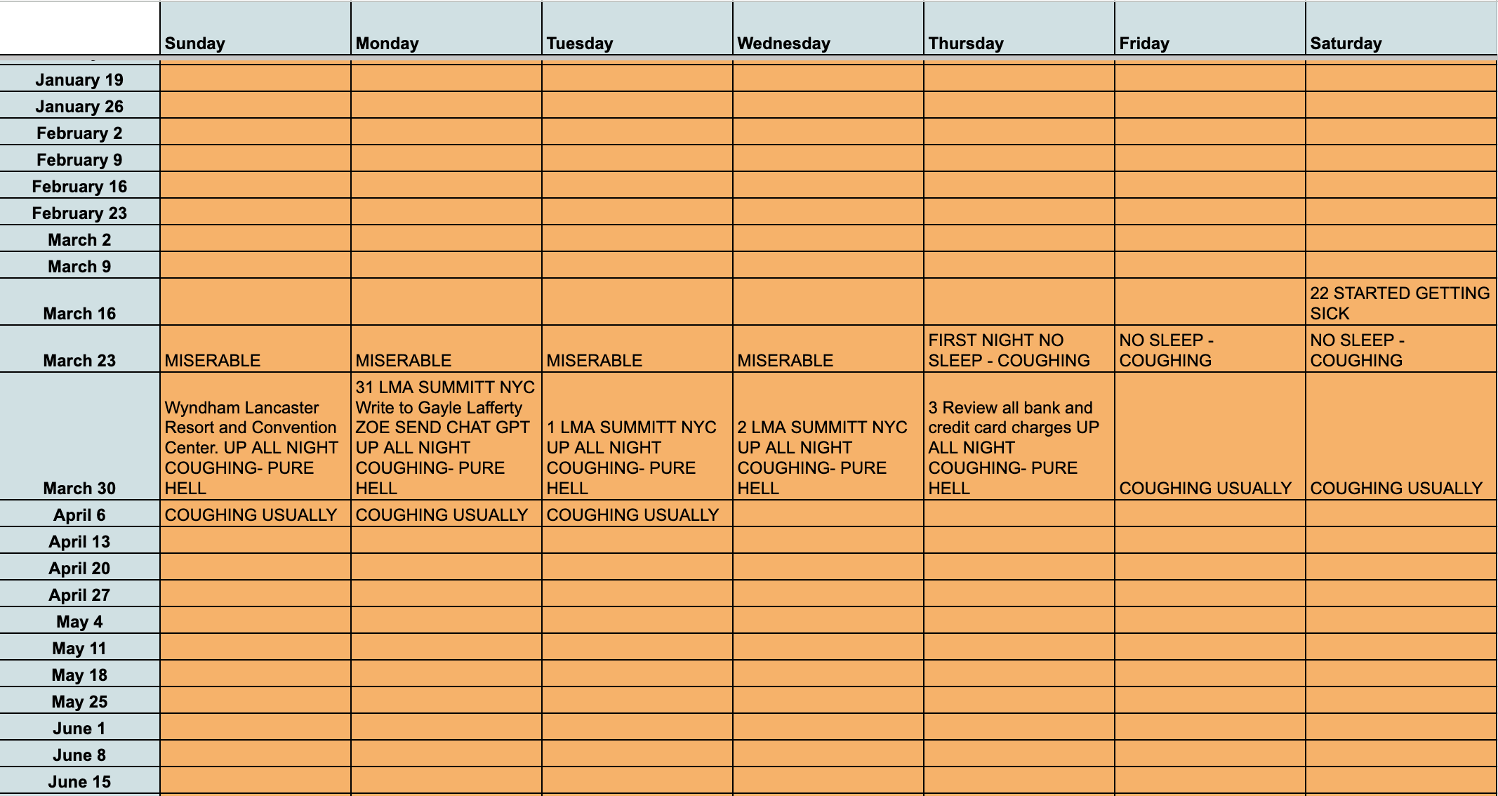 Allergy tracking spreadsheet — 2025