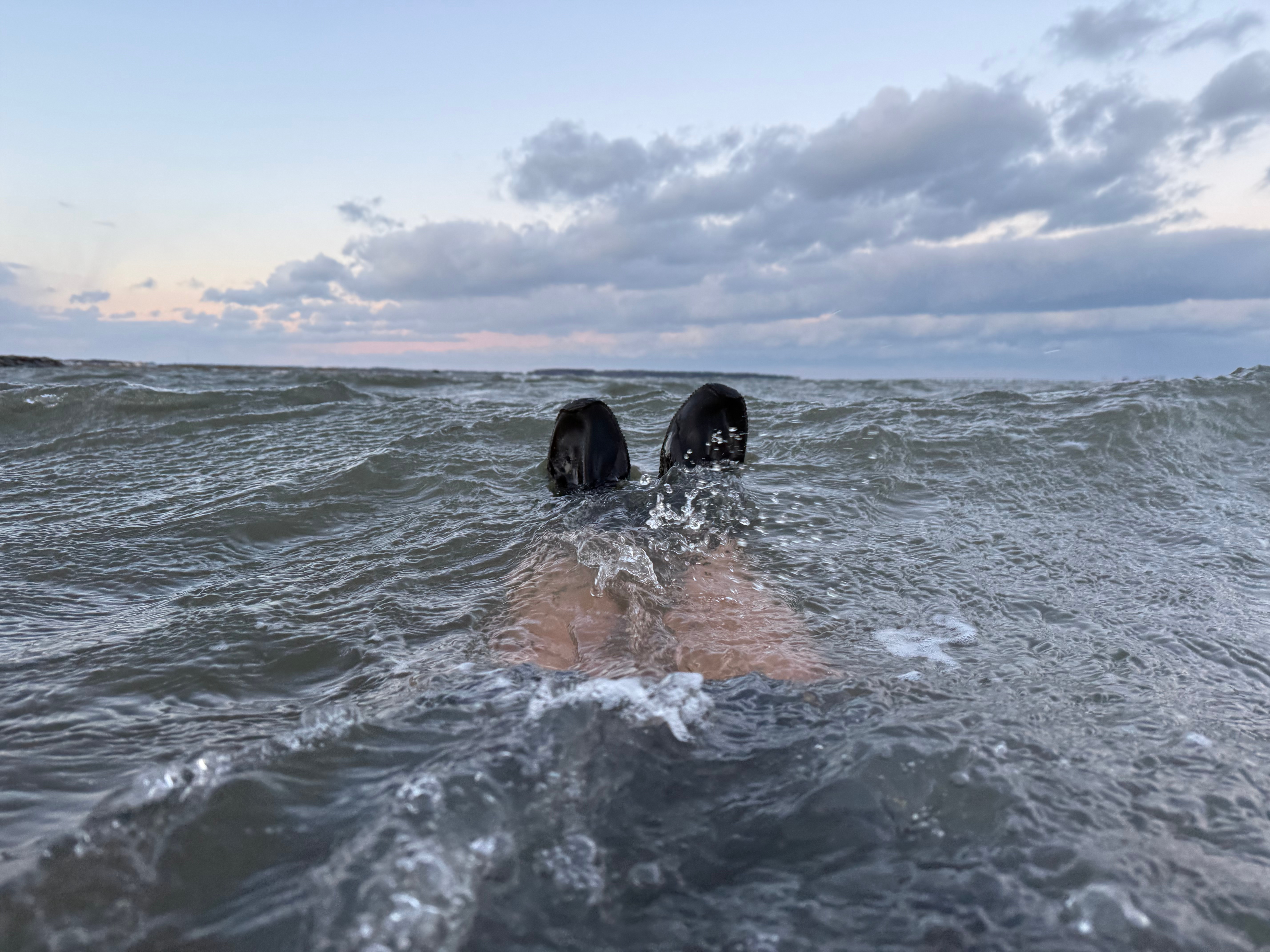 2025-2026 Bay Bath #3: Ten minutes. 37.9-degree water. 26-degree air. 21 mph wind.