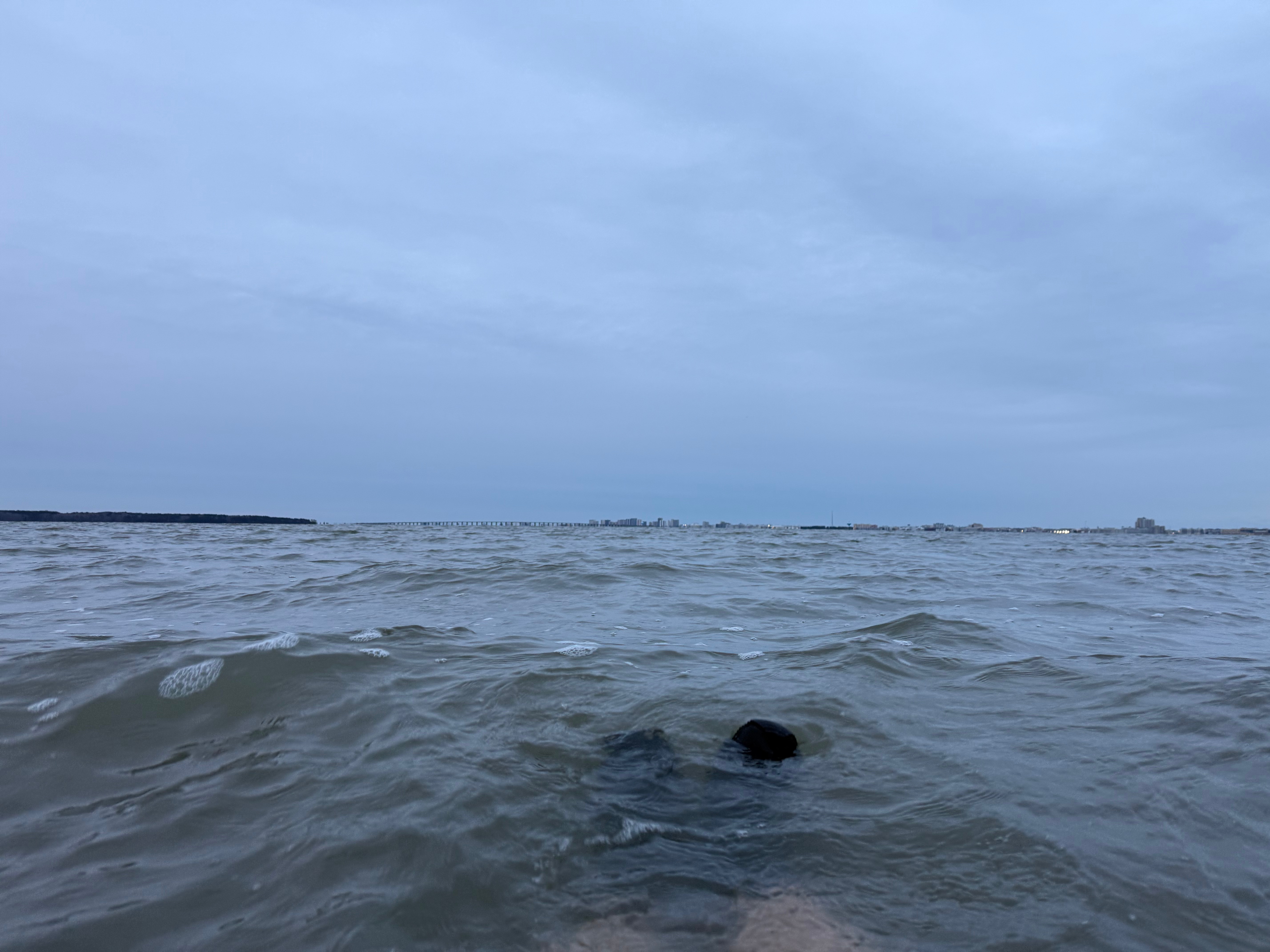 2025-2026 Bay Bath 9: 10 minutes, 33.3 degree water, 19 degree air, 10 mph wind