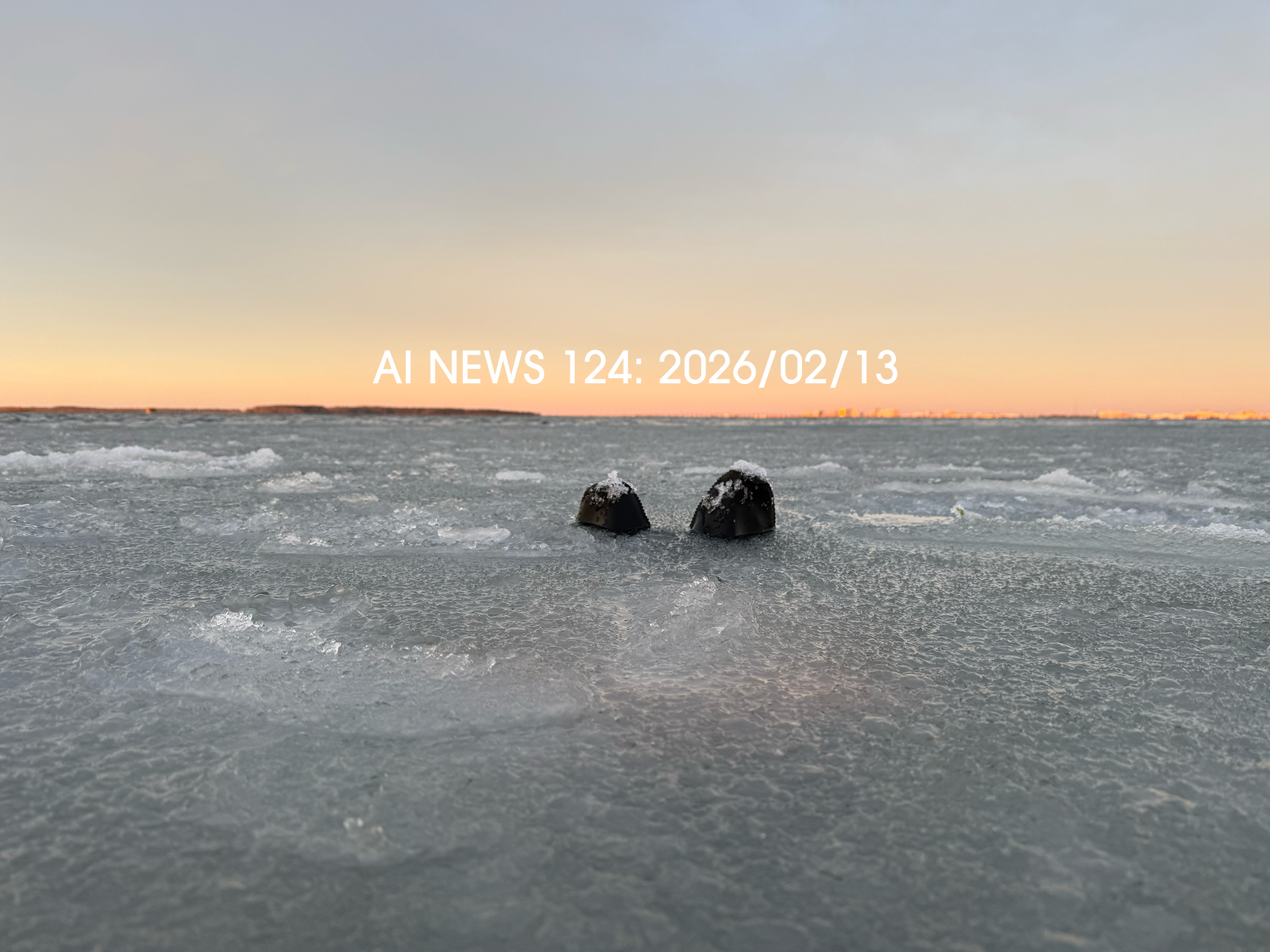 AI News #124: Week Ending February 13, 2026 with 35 Executive Summaries