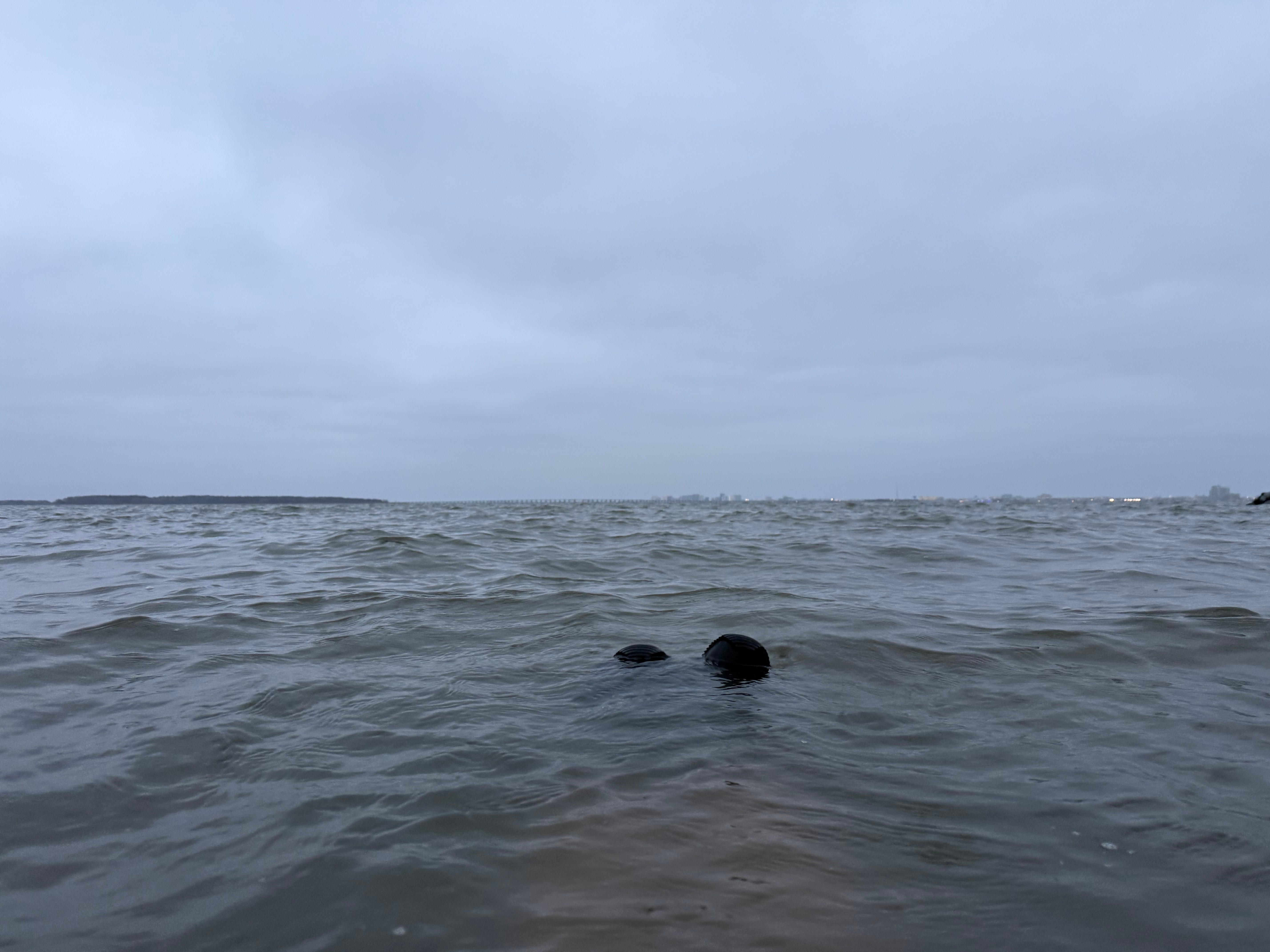 2025–2026 Bay Bath 12: 10 minutes, 39.7° water, 37° air temperature, 5 mph wind.