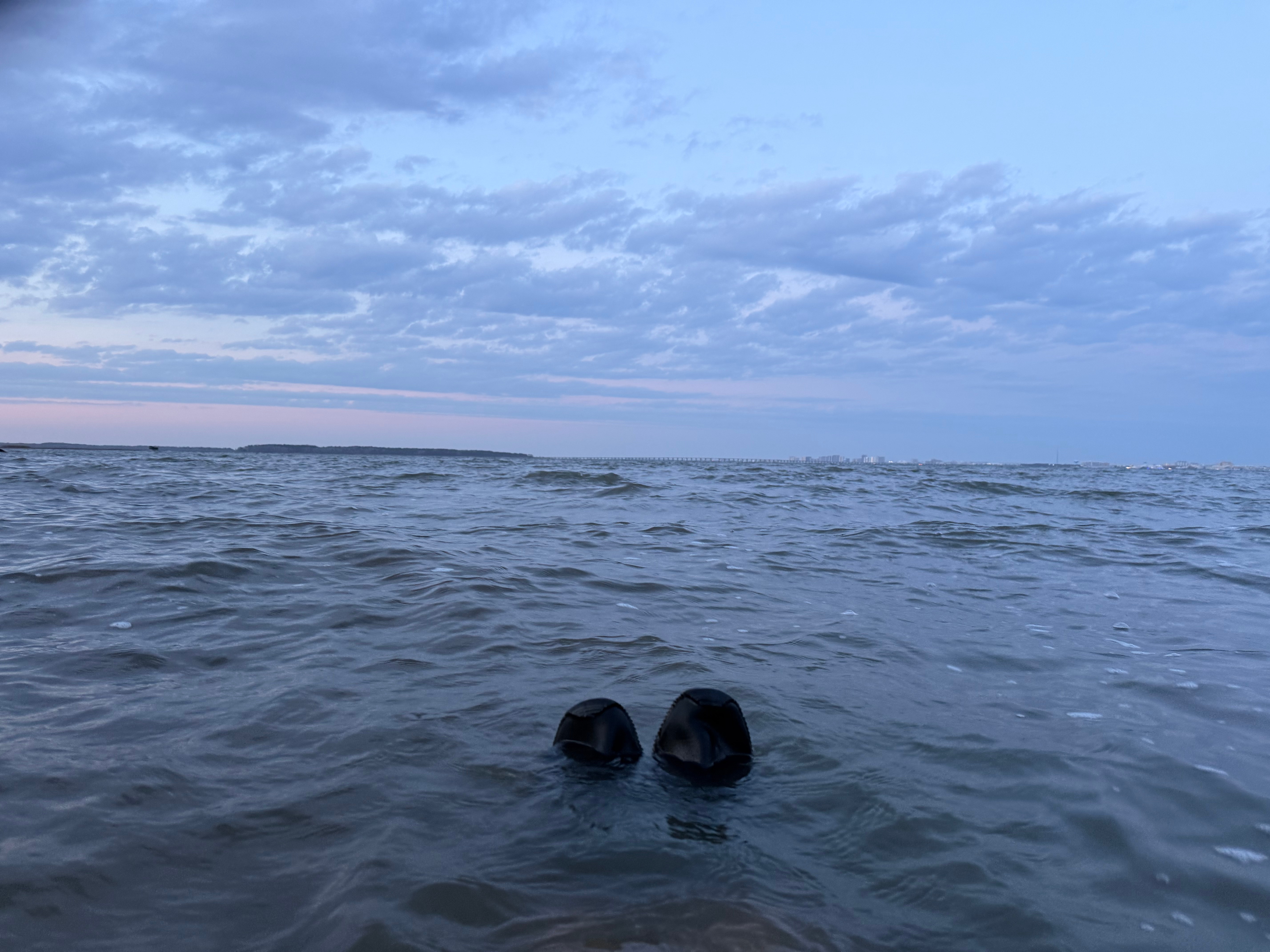 2025–2026 Bay Bath 14: 11 minutes, 46.6° water, 39° air, 9 mph wind.